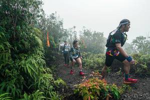 BIB: 
                            <button type="button" onclick="openModal(26271976)" class="btn btn-primary btn-sm float-right btn-popup" data-toggle="modal" data-target=".modal-high-quality">
                        <i class="fas fa-shopping-cart"></i> Add to Cart
                    </button>
                                            <button type="button" onclick="isThisMe(26271976, true)" class="btn btn-success btn-sm float-right btn-popup btn-isme hidden" data-toggle="tooltip" data-placement="bottom" title="นี่คือรูปของคุณใช่ไหม คลิกที่นี่เพื่อเอาเข้าอัลบั้ม">
                        <i class="fas fa-plus"></i> Add to album
                    </button>
                    <button type="button" onclick="isThisMe(26271976, false)" class="btn btn-warning btn-sm float-right btn-popup btn-isnotme hidden">
                        <i class="fas fa-ban"></i> Remove from album
                    </button>